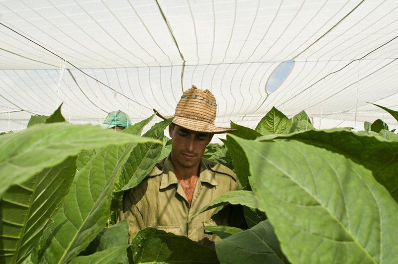 Palacio-Convenciones-Foto-R.-Pujol-45_blog_4